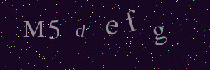 Validation image