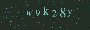 Validation image