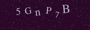 Validation image